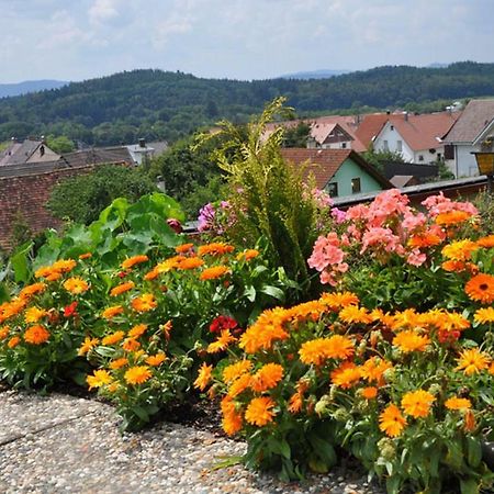 Gasthof Adler Guettingen Guttingen ภายนอก รูปภาพ